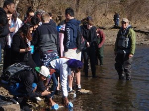 Students bend to the waters edge to release fingerling trout into the lower Illinois River. Photo: Scott Hood